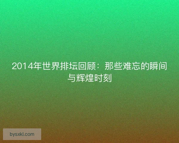 2014年世界排坛回顾：那些难忘的瞬间与辉煌时刻